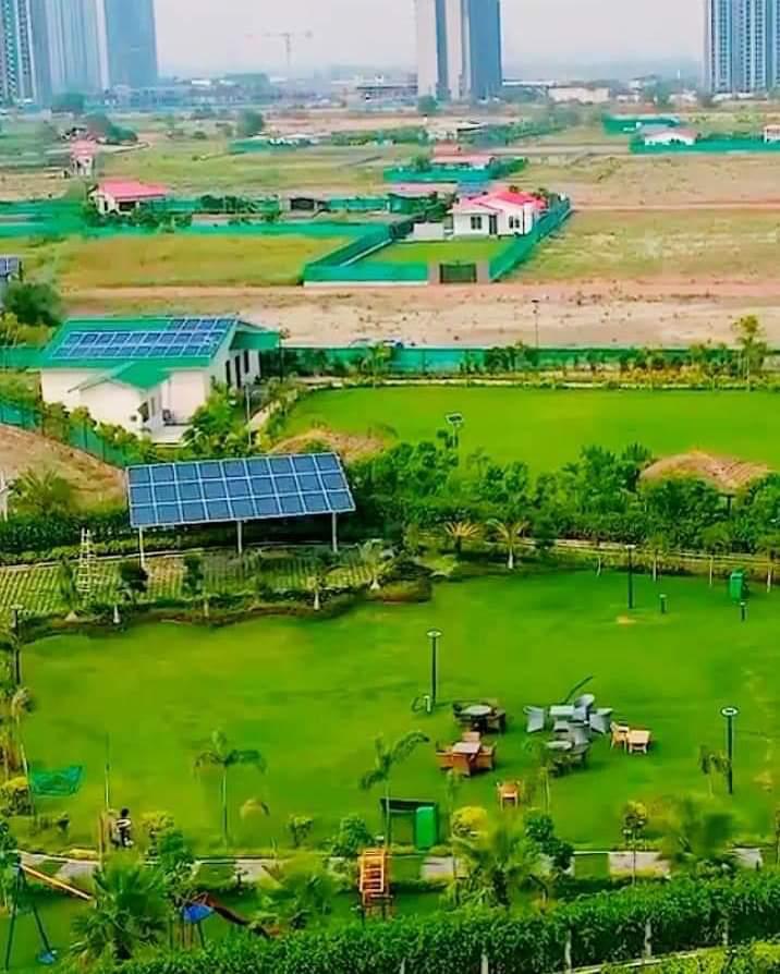Environmental Impact